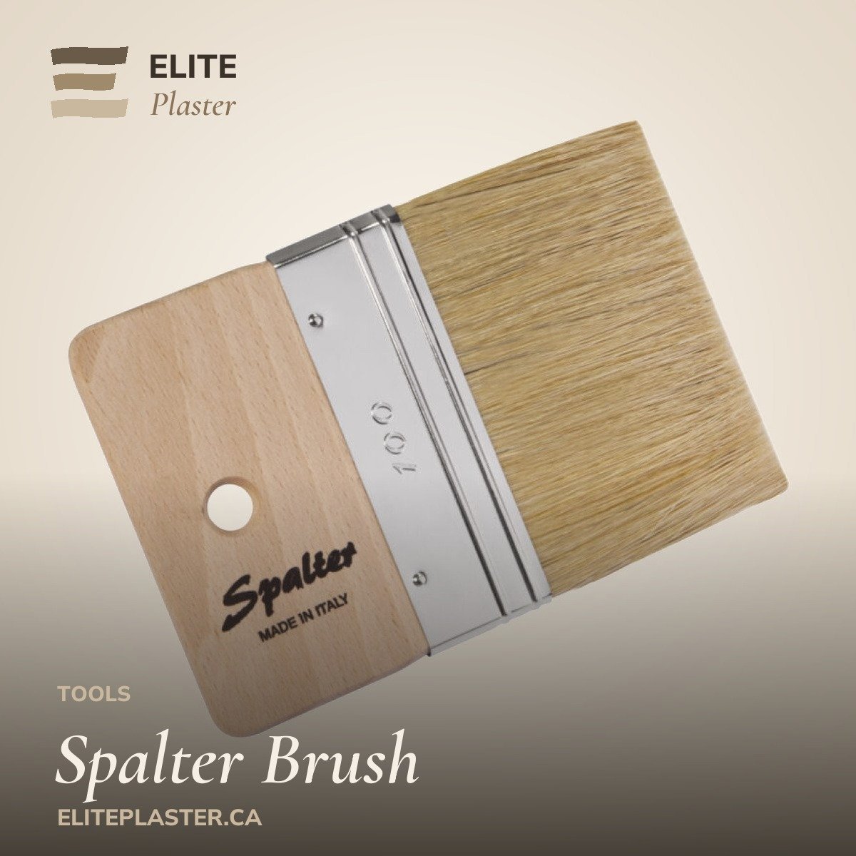 Spalter Brush: Flat Decorative Brush branded hero