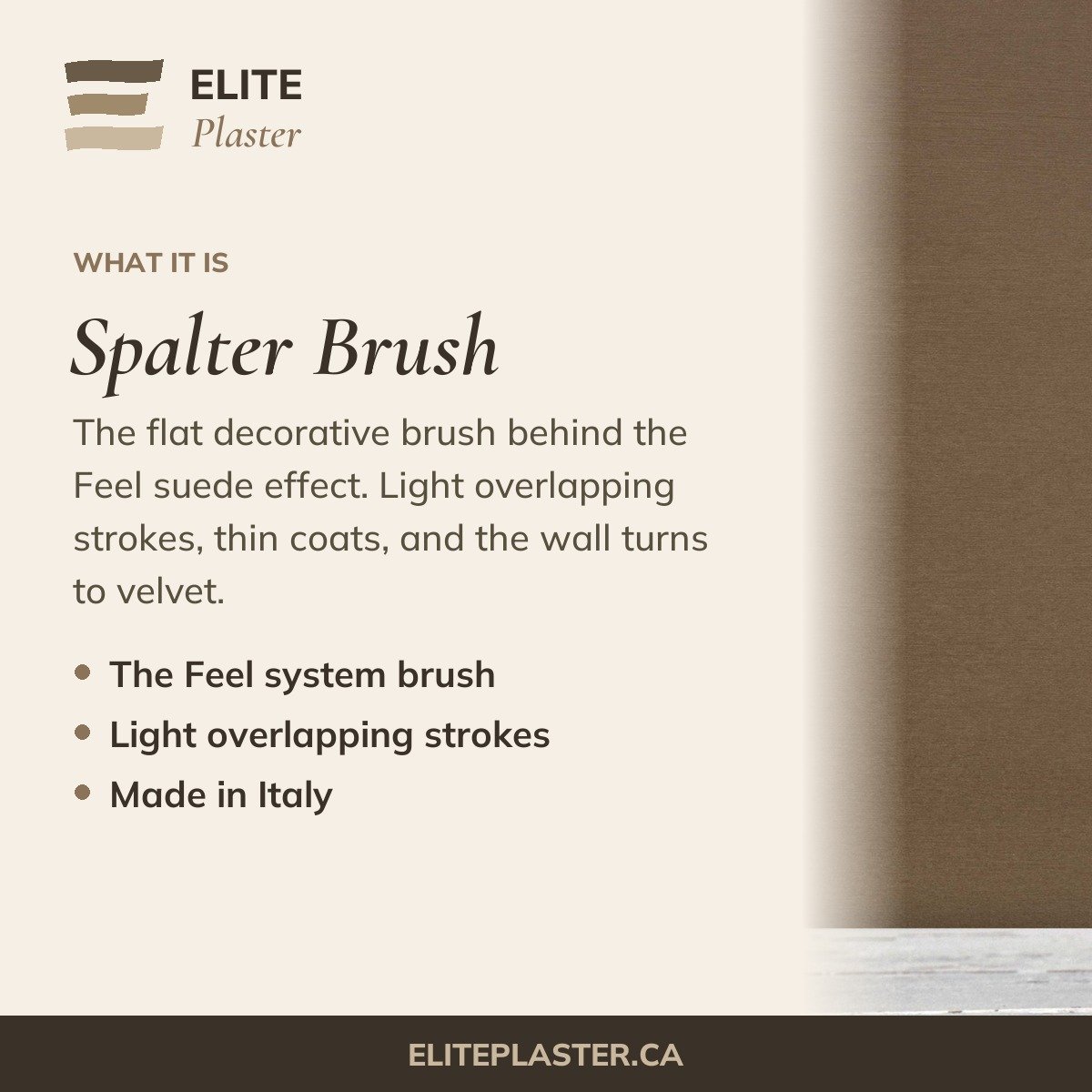 Spalter Brush: Flat Decorative Brush about card